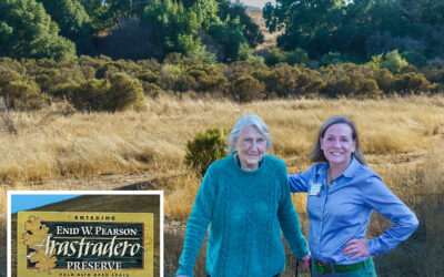 Palo Alto has a great legacy of strong community environmental leadership.