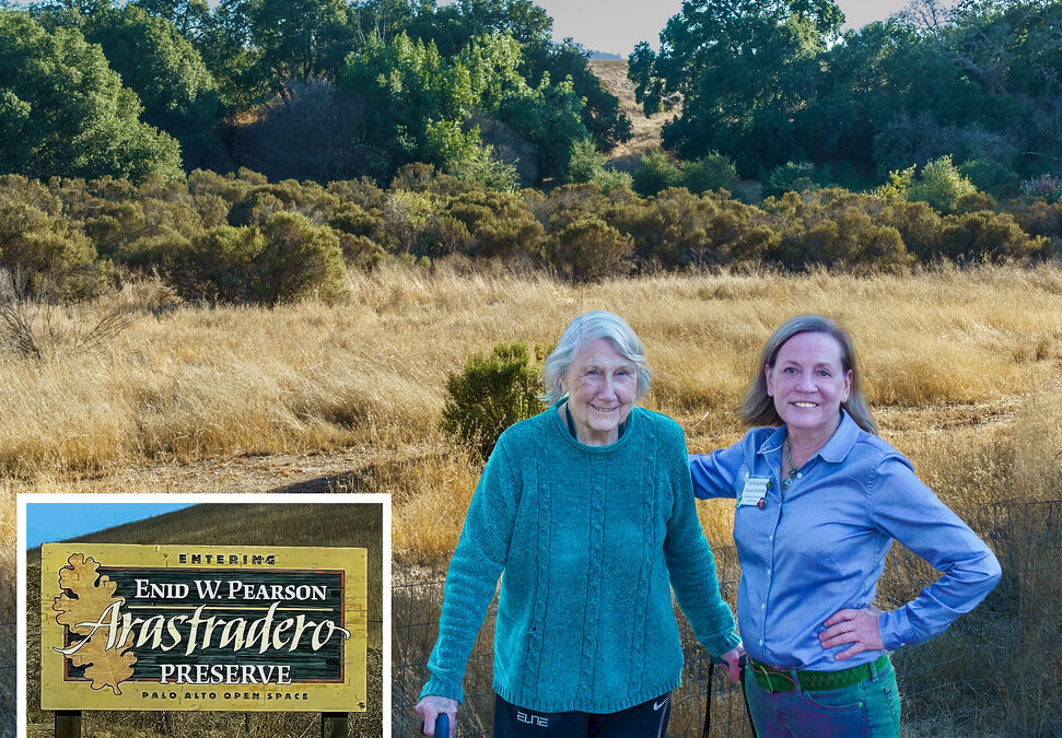 Palo Alto has a great legacy of strong community environmental leadership.